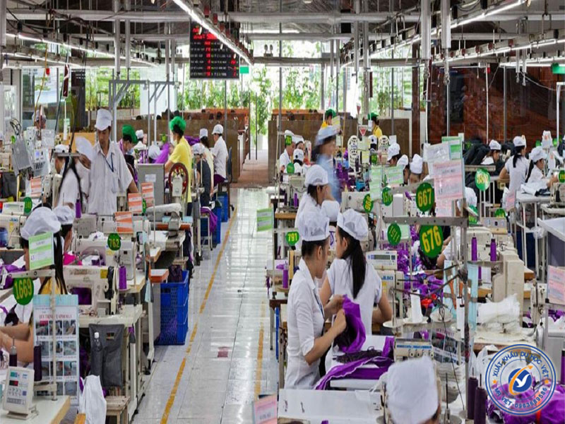 Tình hình xuất khẩu lao động Đài Loan tại Tuyên Quang năm 2023