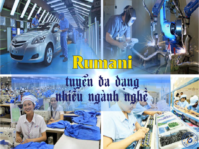 Những lý do đơn hàng xuất khẩu Rumani thu hút lao động Việt